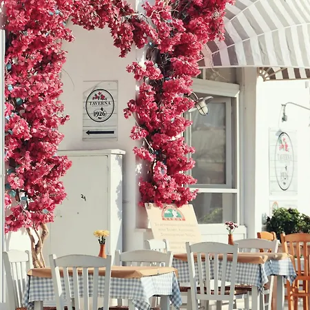 Naxian Serenity Apartment Agia Anna (Naxos)