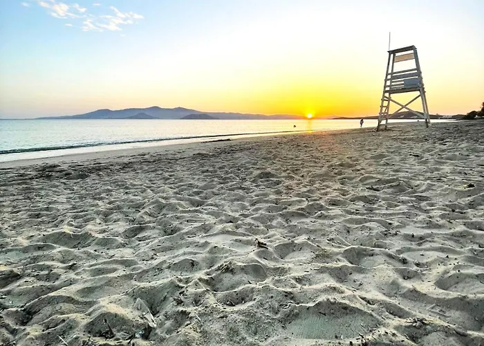 Apartment Naxian Serenity *