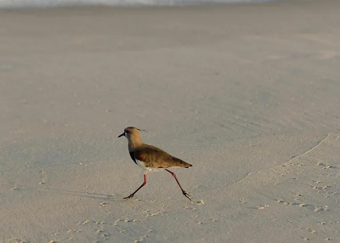 Apartment Naxian Serenity *